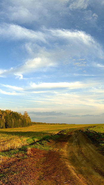 Preview road, field, sky, clouds, blue, country, open spaces HD phone wallpaper