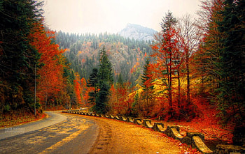 Autumn Road, autumn, road, nature, path HD wallpaper