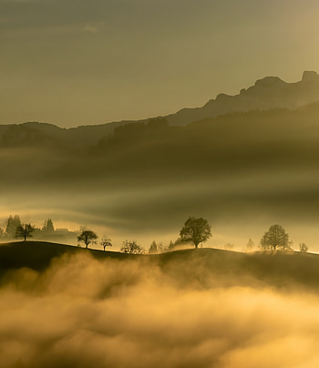 Nature, Trees, Mountains, Fog, Hills HD phone wallpaper