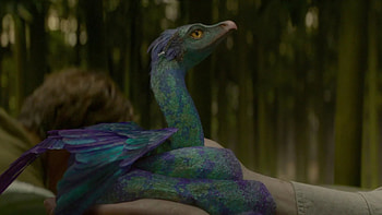 Fantastic Beasts, U3D Blu-ray, Movie review HD wallpaper