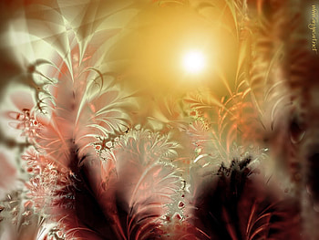 Digital sunset, 3d, fantasy, light, flowers, sun HD wallpaper