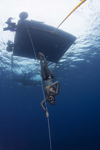 diving, Sports, diving Bonaire, Ocean Connection HD phone wallpaper