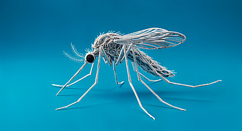 Stunning Mosquito in Ultra, mosquito, 3D Art, illustration, insect, design HD wallpaper