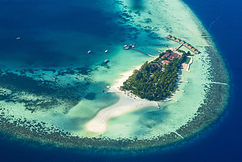 Nature, Palms, View From Above, Ocean, Tropics, Island, Paradise, Bungalow HD wallpaper