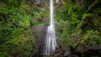 Dominica Island, Untamed wilderness, Nature's playground, Enchanting discovery HD wallpaper