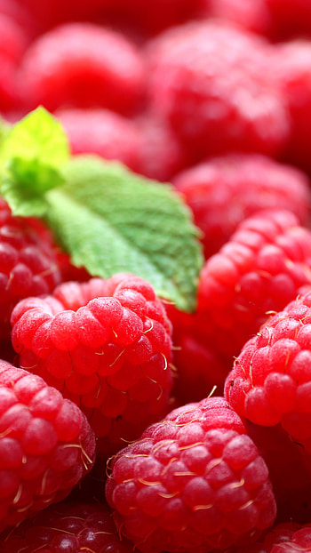 Vibrant raspberry , Refreshing and juicy, Nature's beauty, Bursting with color HD phone wallpaper