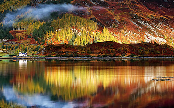 Nature landscape by National Geographic, Tranquil lake reflections, Enchanting fog-covered mountain, Majestic tree HD wallpaper