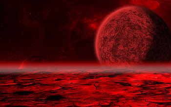 black and red | Jellyfish Spendavis HD wallpaper