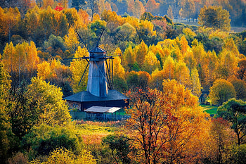 Windmill in autumn, fall, colors, view, autumn, beautiful, forest, countryside, windmill, season, trees HD wallpaper