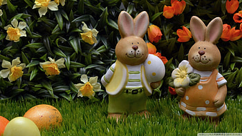 Easter Eggs And Bunnies, Bunnies, Eggs, Easter, And HD wallpaper