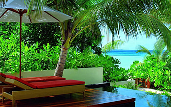 Nature, Palms, Vegetation, Greens, Tropics, Deck Chair, Sun Lounger, Chairs, Resort, Maldives, Armchairs HD wallpaper