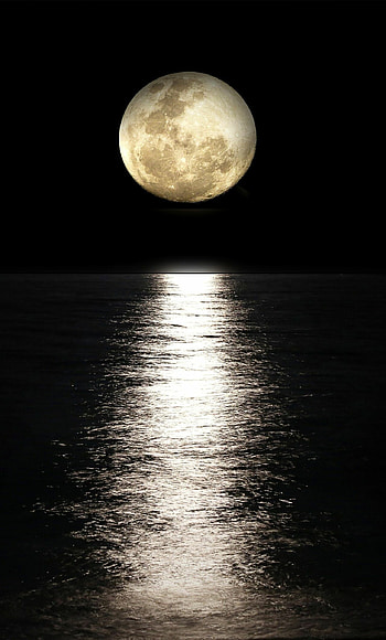 Moonlight, Reflecting tranquility, , Peaceful beauty HD phone wallpaper