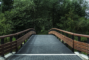 Nature, Trees, Forest, Park, Bridge HD wallpaper