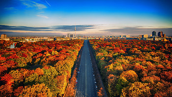 Highway through Autumn Forest, autumn, highway, nature, forest HD wallpaper
