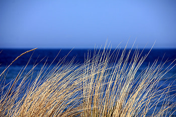 Nature, Grass, Sky, Sea, Wind HD wallpaper