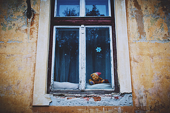 Teddy Bear, Miscellanea, Miscellaneous, Vintage, Window HD wallpaper