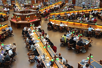A lively university library scene with students studying diligently at wooden desks. HD wallpaper