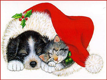 Staying warm, kitten, Santa hat, puppy, Christmas HD wallpaper