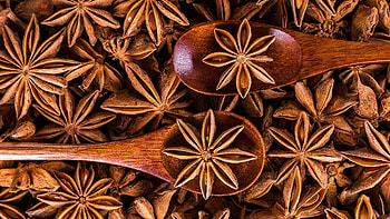 Anise vs. star anise, Flavor comparison, Distinct spices, Culinary use HD wallpaper