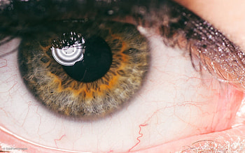 Macro, Veins, Eye, Pupil, Eyelash, Eyelashes, Vienna HD wallpaper