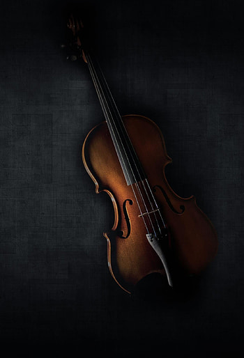 Morsy, viola, violin HD phone wallpaper