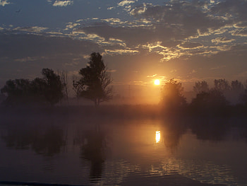 Awaiting the Sun, fog, clouds, trees, sky, orange, haze, sun HD wallpaper