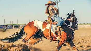 Barrel racing, Rodeo HD wallpaper