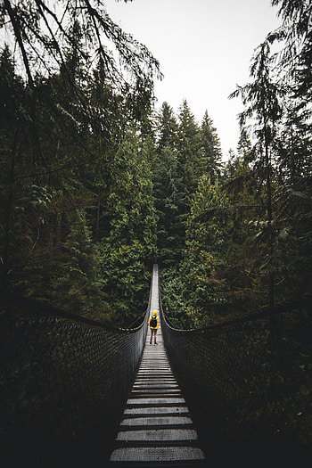 Nature, Canada, Bridge, Human, Person, Loneliness, Vancouver HD phone wallpaper