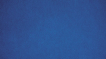 Texture, Textures, Surface, Leather, Skin HD wallpaper