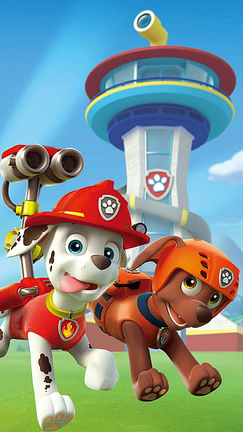 Zuma and Marshall, Paw Patrol HD phone wallpaper