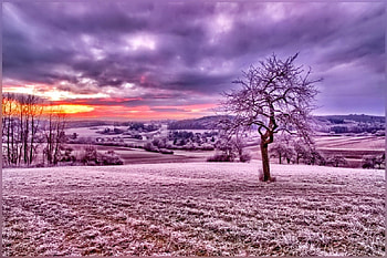 Winter, graphy, wonderful, snowflakes, snowflake, snow, trees, , sun, cold, beautiful, tree, nature, sky, lovely, splendor, ice HD wallpaper