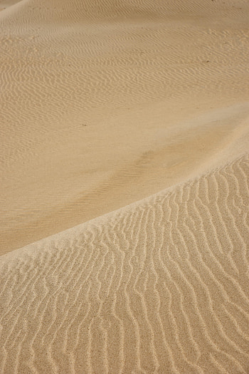 Nature, Waves, Sand, Desert, Traces, Dunes HD phone wallpaper