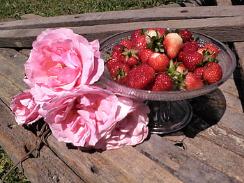 Waiting for you, sunshine, sweet, sunny, strawberry, roses, garden, fruits, summer, pink, red, nature, flowers, forever HD wallpaper
