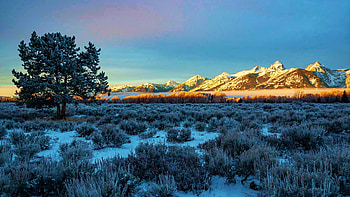 Slice of Light, Grand Teton National Park, plants, trees, sky, water, mountains, usa, wyoming HD wallpaper