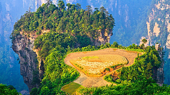 Zhangjiajie Travels, Sunrise, Hanging paddy field, Hunan China HD wallpaper