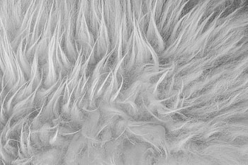 Faux fur texture, Soft and fluffy, Cozy fabric, Animal-friendly HD wallpaper