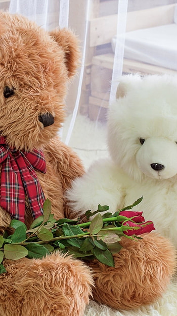 Cute Teddy, Teddy Bear, Rose HD phone wallpaper