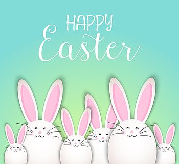 :), bunny, pink, white, green, easter, card, rabbit HD wallpaper