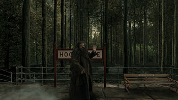 Harry and Hagrid, Diagon Alley adventure, Magic-filled streets, Portal to wonder HD wallpaper