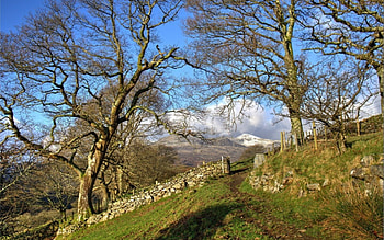 Wales Landscape, UK, path, gate, landscape, trees, mountains HD wallpaper