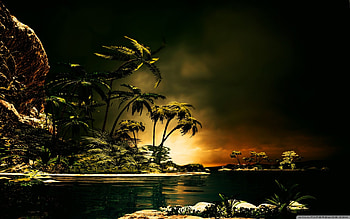 Tropical Night, night, oceans, tropical, trees, nature, islands, palm trees HD wallpaper