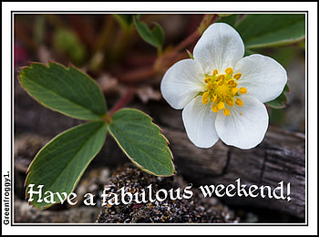 FABULOUS WEEKEND, COMMENT, WEEKEND, FABULOUS, CARD HD wallpaper