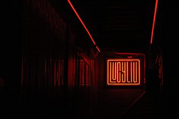 Words, Wall, Neon, Inscription HD wallpaper