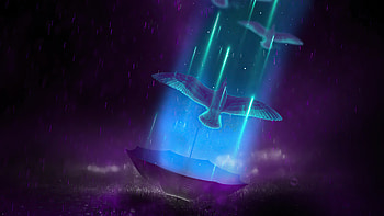 Life Bird Umbrella Rain Night , artist, artwork, digital-art HD wallpaper