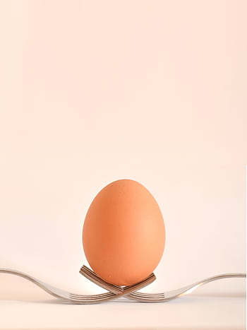 A single egg poised atop crossed forks, highlighting simplicity in a minimalist style. HD phone wallpaper