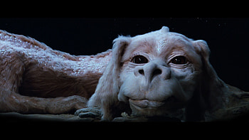 The NeverEnding Story, Love movie, Love graphy, Magical HD wallpaper