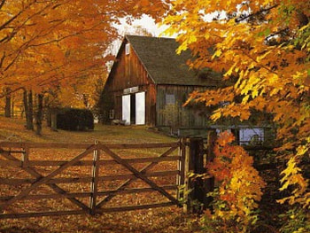 Autumn scenary, scenary, nice HD wallpaper