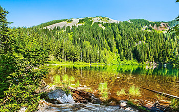 Amazing Green Lake, reflection, green, trees, nature, forest, lake HD wallpaper