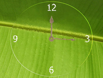 Leaf Clock, rain, hands, numbers, drop, green, glass, nature, leaf, clock, water, clear, droplet HD wallpaper