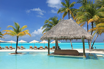Palms, Miscellanea, Miscellaneous, Relaxation, Rest, Sun Loungers, Pool, Beds HD wallpaper